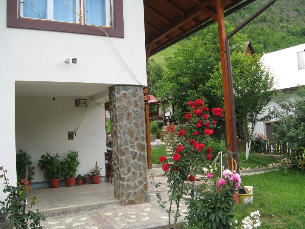 Pensiunea Piatra Mandrutului سكاريشوارا المظهر الخارجي الصورة