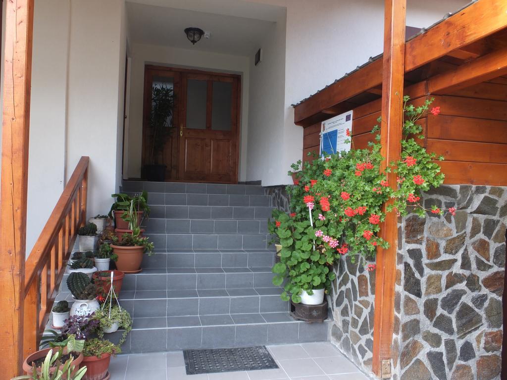 Pensiunea Piatra Mandrutului سكاريشوارا المظهر الخارجي الصورة