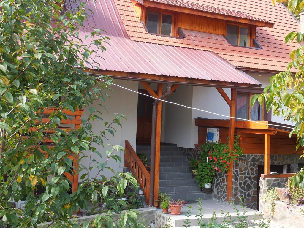 Pensiunea Piatra Mandrutului سكاريشوارا المظهر الخارجي الصورة