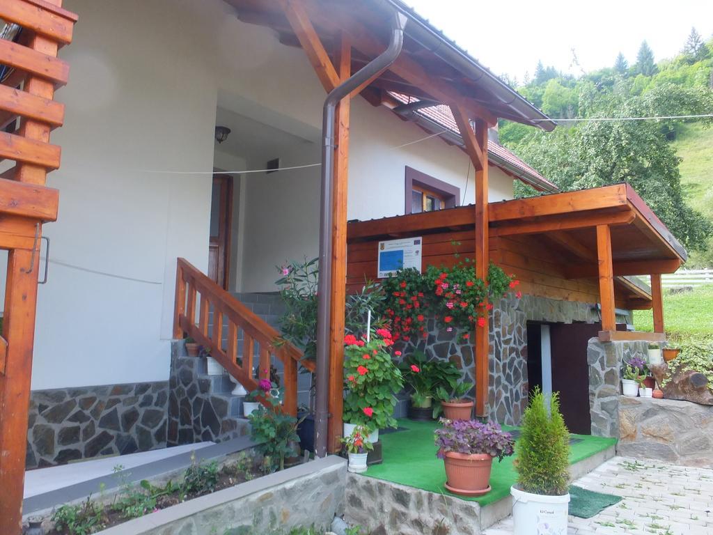 Pensiunea Piatra Mandrutului سكاريشوارا المظهر الخارجي الصورة
