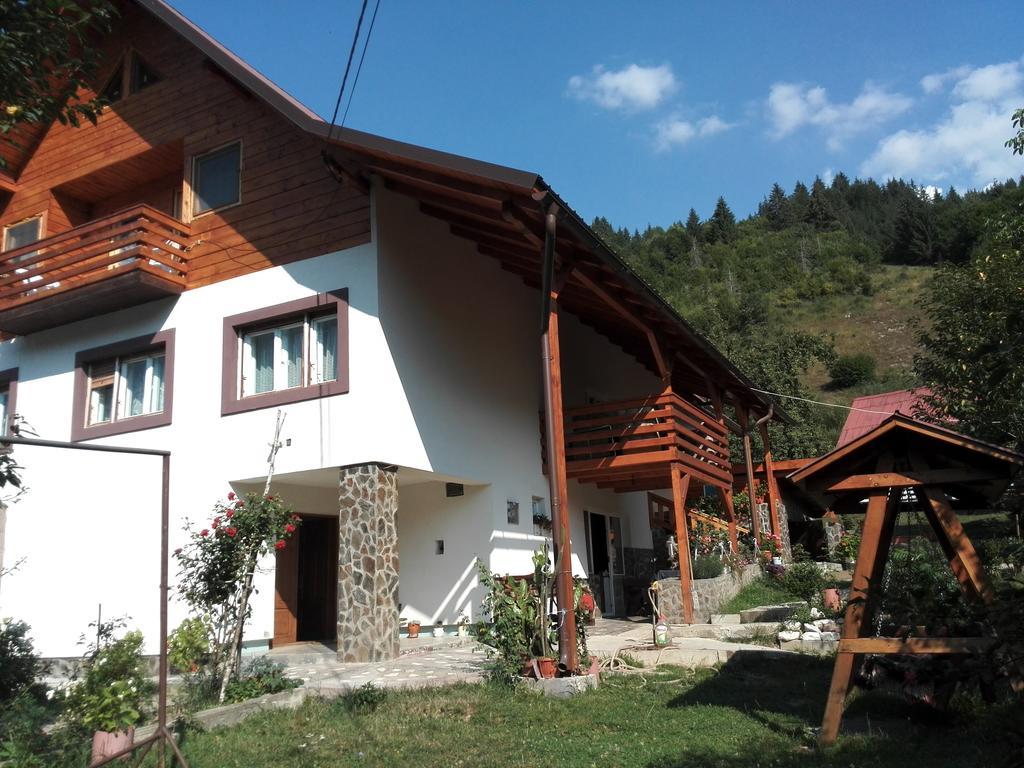 Pensiunea Piatra Mandrutului سكاريشوارا المظهر الخارجي الصورة