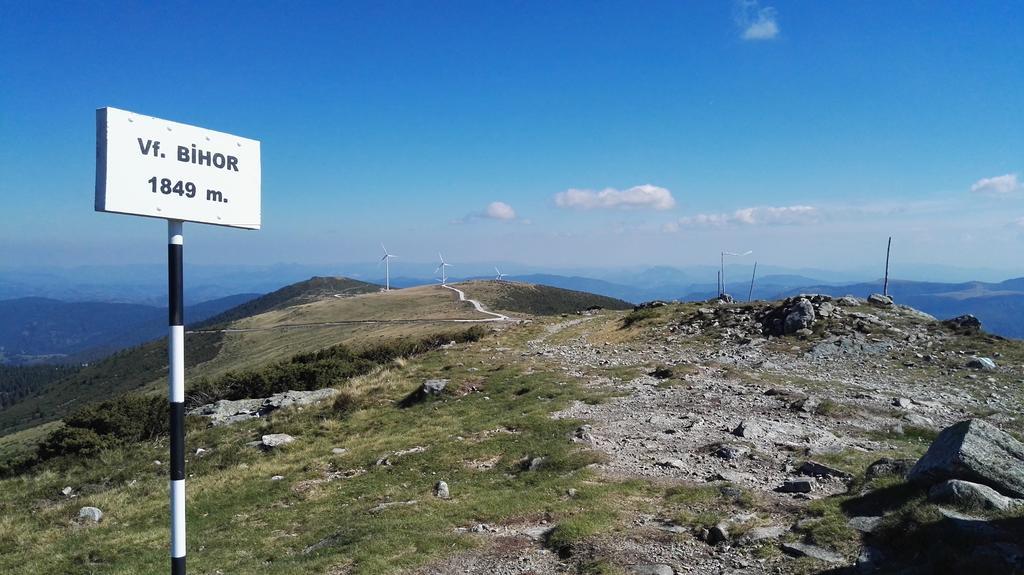 Pensiunea Piatra Mandrutului سكاريشوارا المظهر الخارجي الصورة