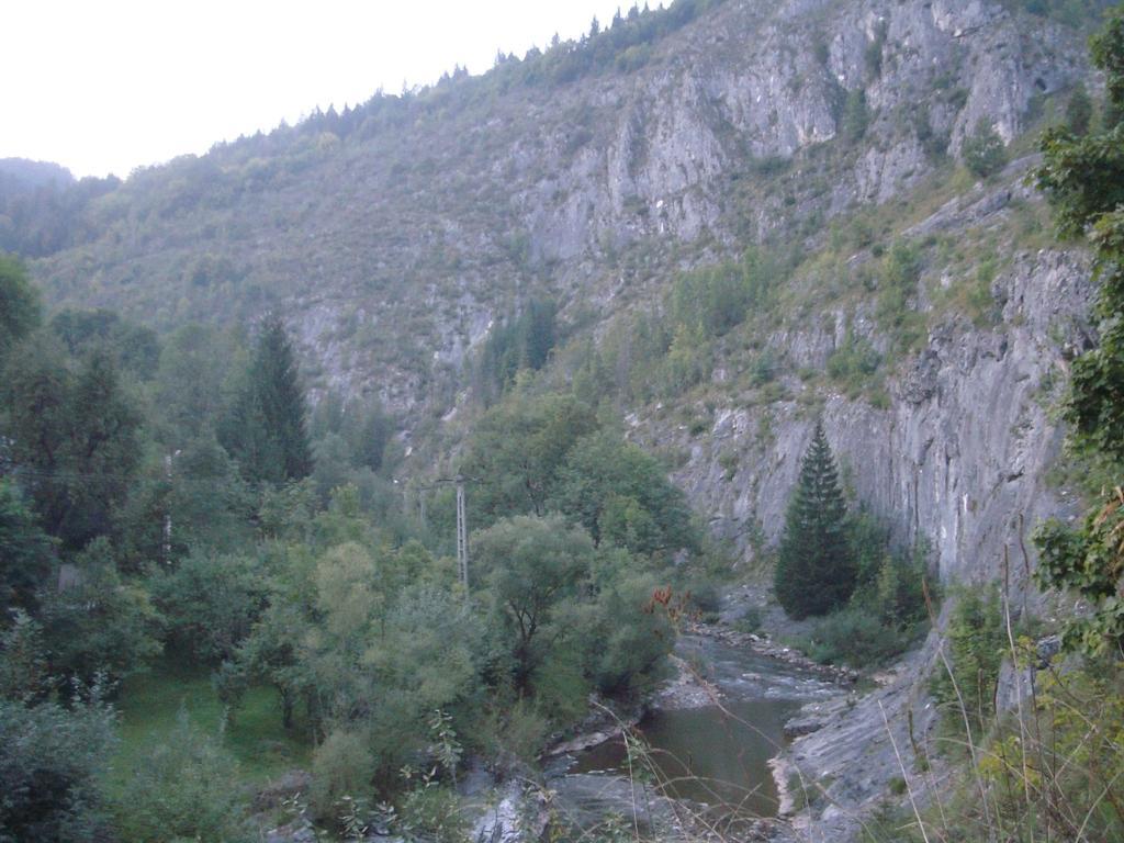 Pensiunea Piatra Mandrutului سكاريشوارا المظهر الخارجي الصورة