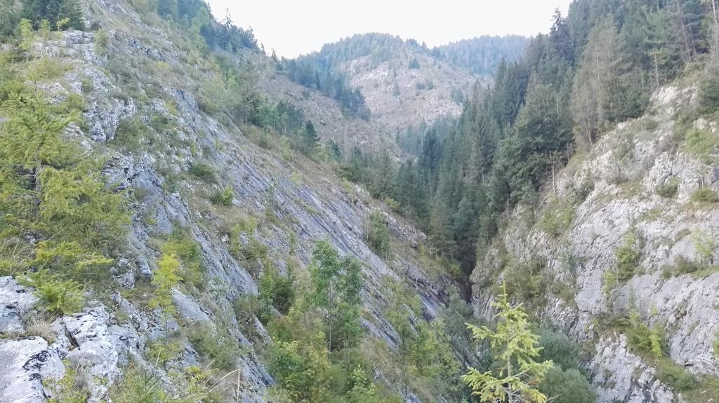 Pensiunea Piatra Mandrutului سكاريشوارا المظهر الخارجي الصورة
